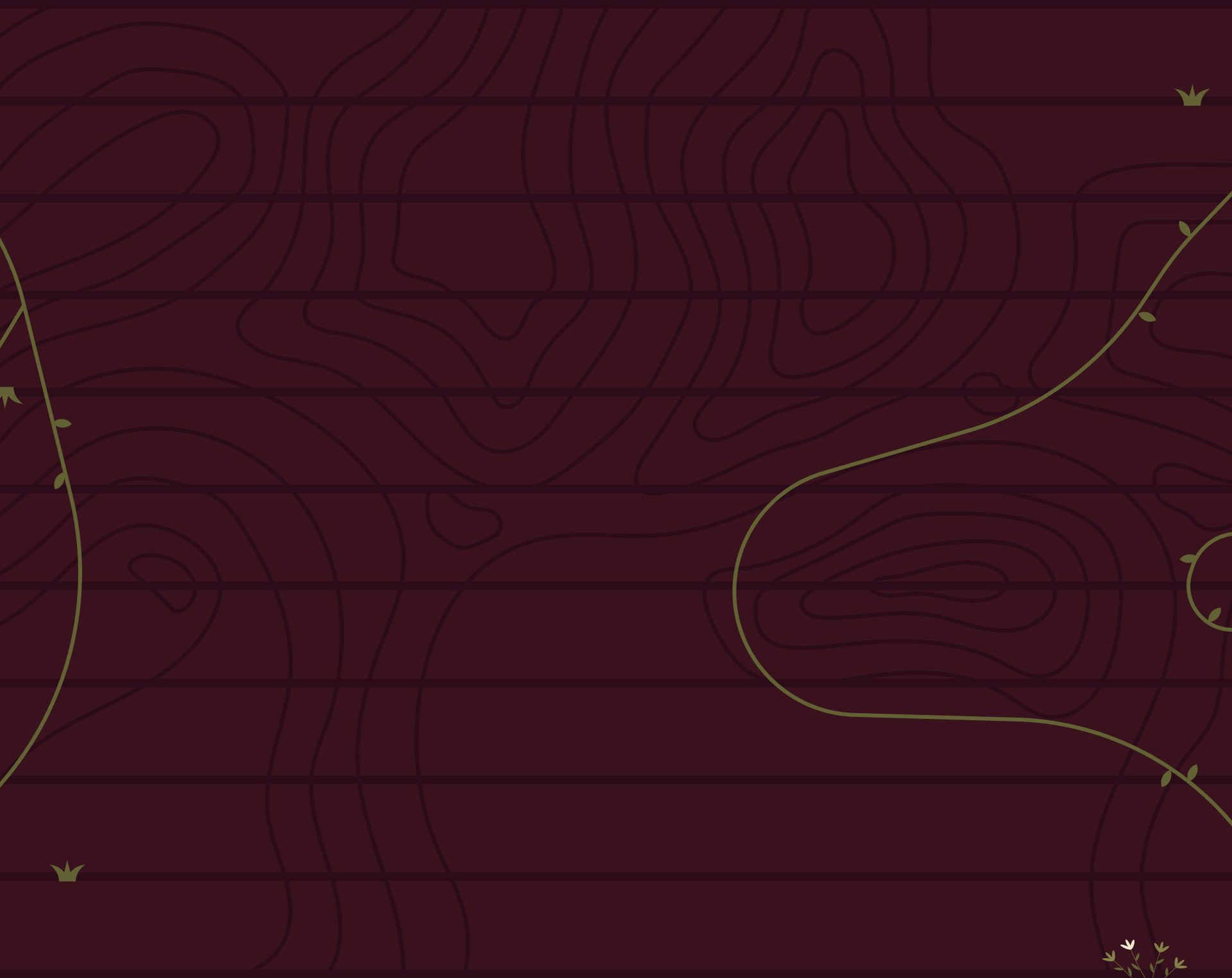 Tabăra Noua Speranță — vedere generală